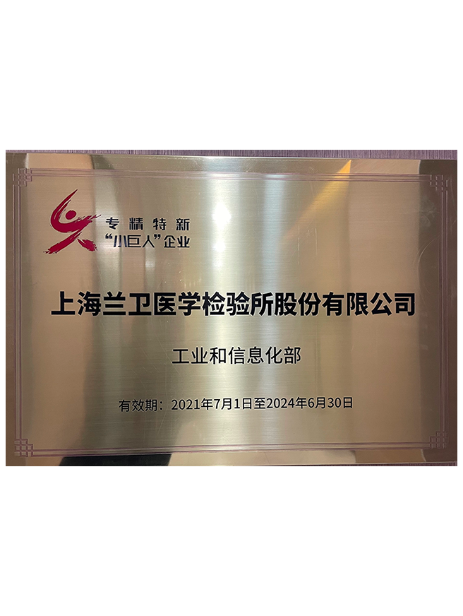01 武汉bifa必发高新证书2022-2025年-1.png